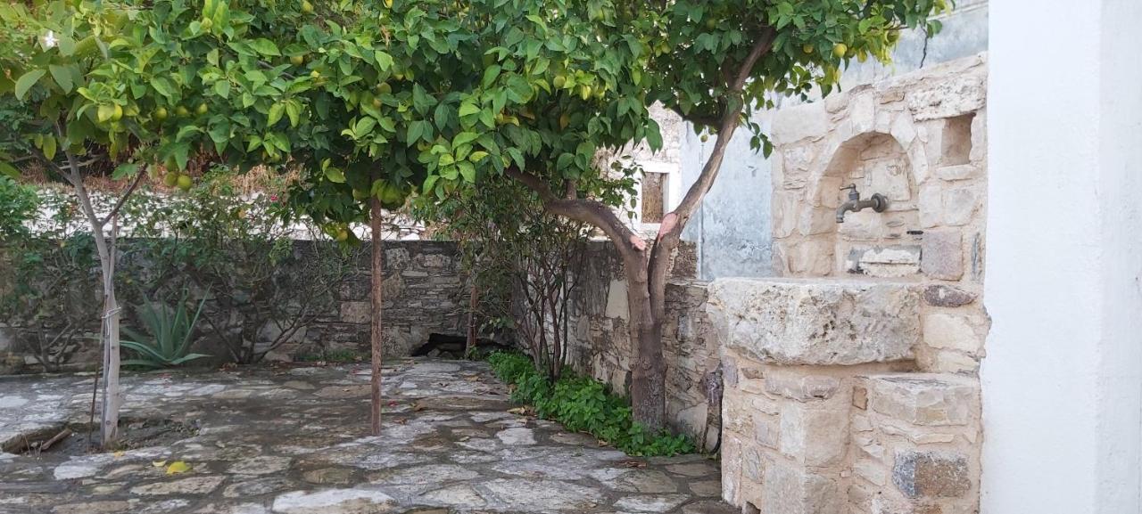 Small Traditional House In Asfendiou Kos Agios Dimitrios  Exterior photo